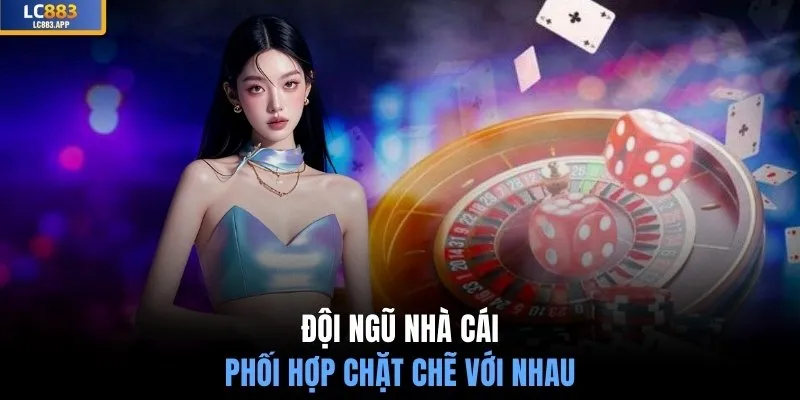 Đội ngũ nhà cái phối hợp chặt chẽ với nhau