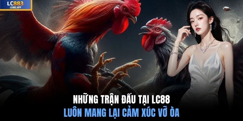 Những trận đấu tại LC88 luôn mang lại cảm xúc vỡ òa