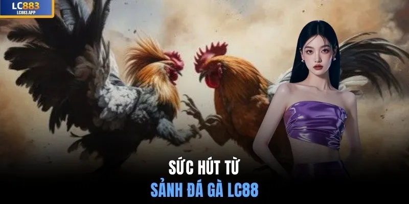 Sức hút từ sảnh đá gà LC88